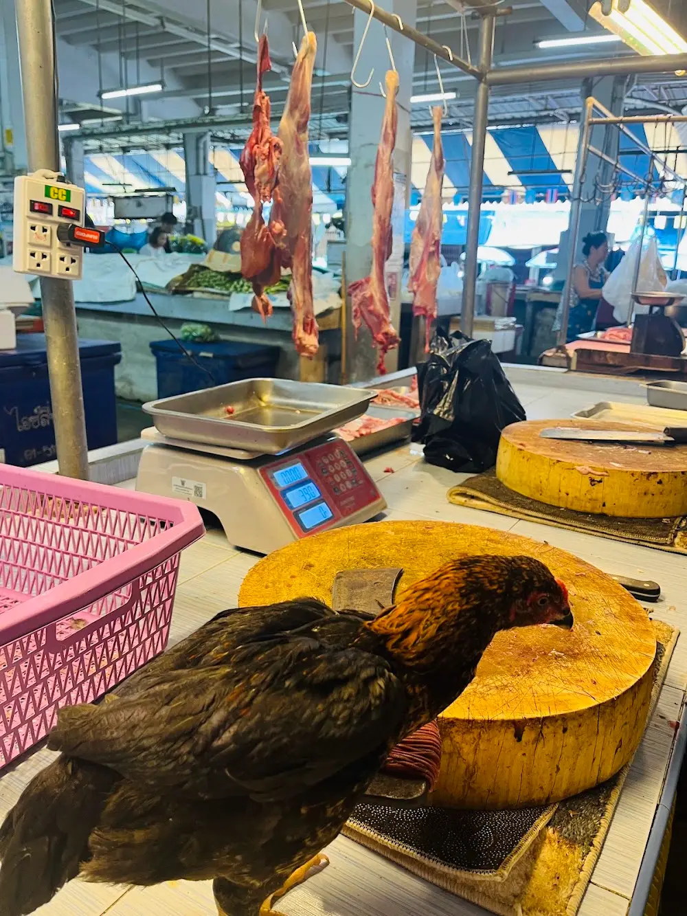 Fresh Halal Mmk mutton chicken shop