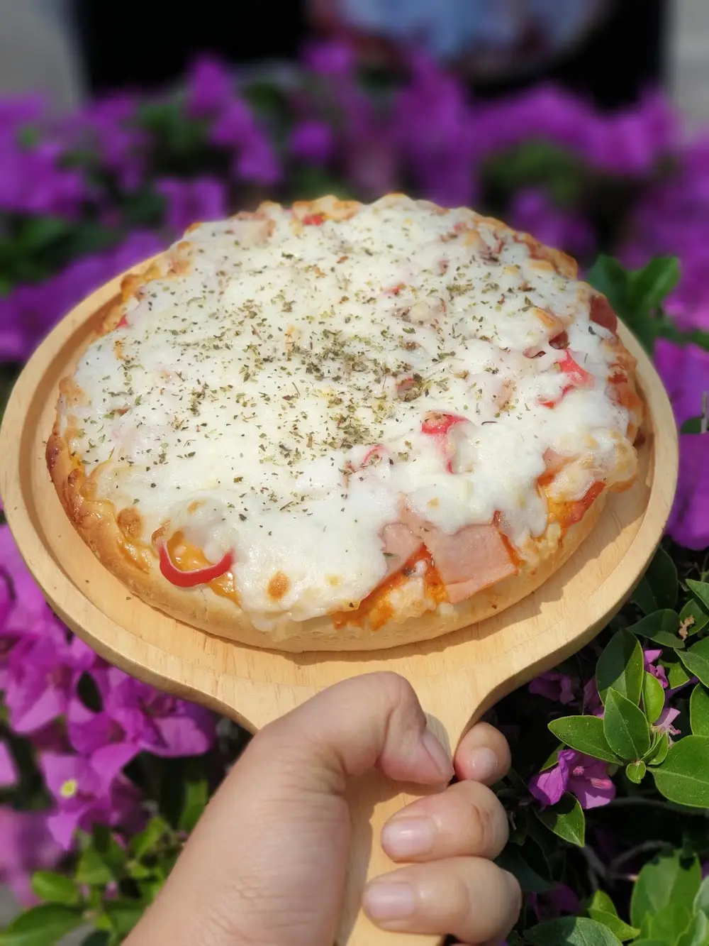 Friendship Pizza halal